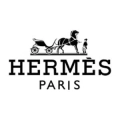 hermes-120-120_large